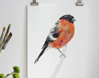 British Garden Birds Bullfinch Digital Art Print