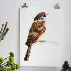 Sparrow Illustration Bird Wildlife Print