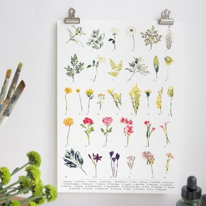 Floral British Wildflower Digital Art Print with Botanical Drawings for Bedroom and Kitchen Wall Art