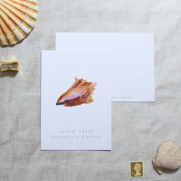 Shell postcard, postcard set, A6 postcards, art postcards, seashell cards, birthday postcard, Christmas postcard