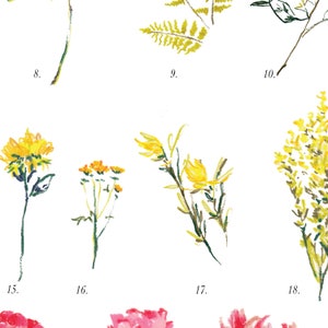 Floral British Wildflower Digital Art Print with Botanical Drawings for Bedroom and Kitchen Wall Art image 8