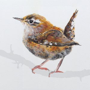 Wren British Garden Bird Blank Greeting Card, Wildlife Card, Wildlife Gift, Wren Card, Wren Gift, Wildlife Stationery, British Birds Gift image 2