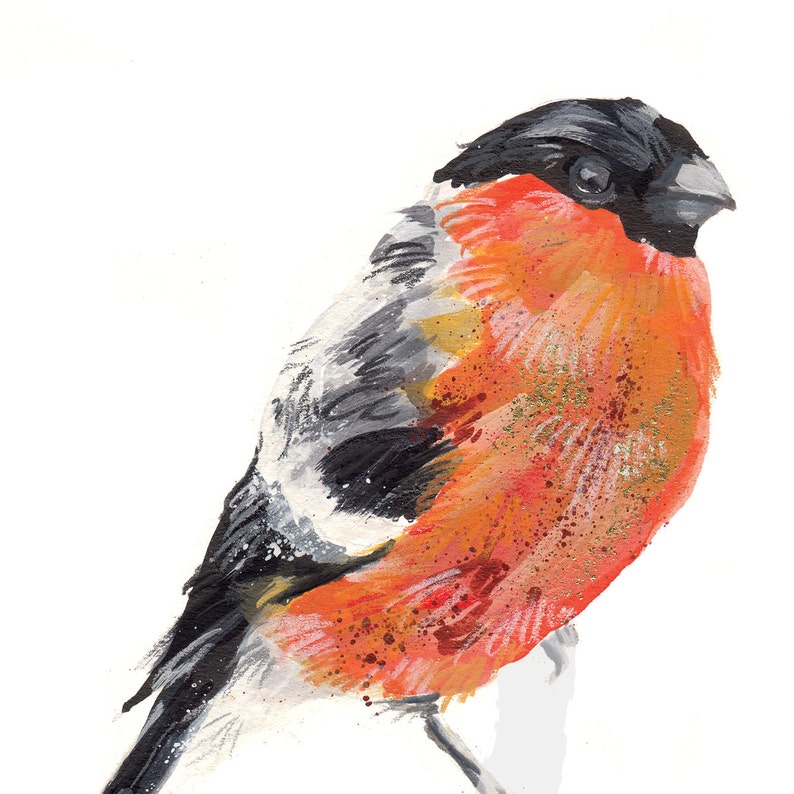 British Garden Birds Bullfinch Digital Art Print image 3