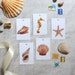 see more listings in the Tout section