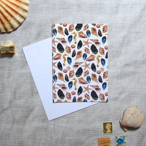 Cartes postales d'art motif coquillage, lot de cartes postales, carte postale A6, cadeau coquillage, cadeaux de papeterie