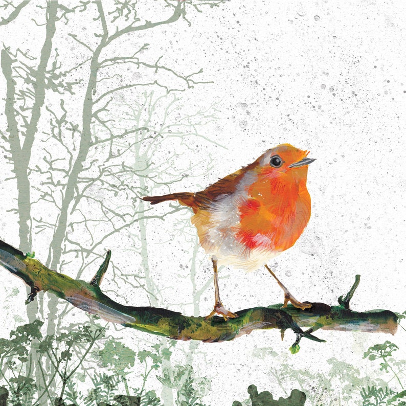Robin Christmas card Holiday cards Christmas card set Seasonal Cards Robin Gifts Christmas gifts Winter cards Country Cards image 3
