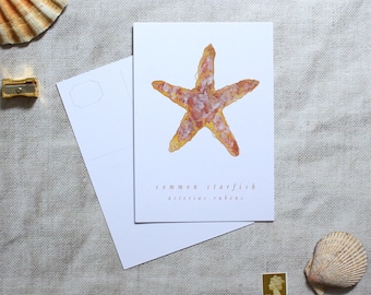 Starfish art postcard, postcard sets, art cards, watercolour art postcards, stationery gifts