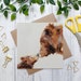Two Brown Bears Birthday Card, Fathers Day Card, Anniversary Card, Animal Card, Brown Bears, Friendship Card 
