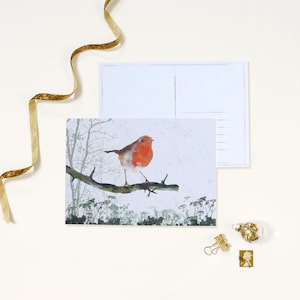 Noël Robin Cartes postales, Papeterie de mariage d'hiver, Jeux de cartes postales, Cartes postales nature, Cartes postales Animaux sauvages, Papeterie nature