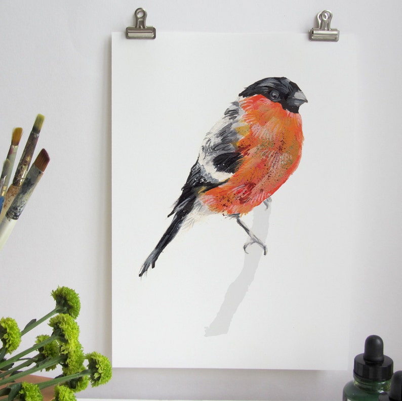 British Garden Birds Bullfinch Digital Art Print image 1