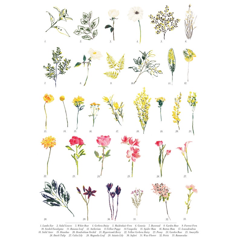 Floral British Wildflower Digital Art Print with Botanical Drawings for Bedroom and Kitchen Wall Art image 3