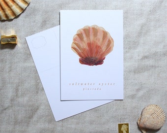 Oyster postcard, art postcard, postcard set, A6 postcards, art card, illustrated postcard, birthday postcard