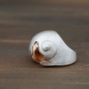 Könnte beinhalten: Ein silberner Ring mit einer strukturierten Oberfläche und einem erhabenen Design einer Schneckenmuschel.
