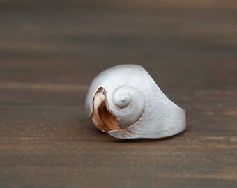 Neverita, by Ariadni Kypri, large silver shell ring, pink shell,  YDOR collection