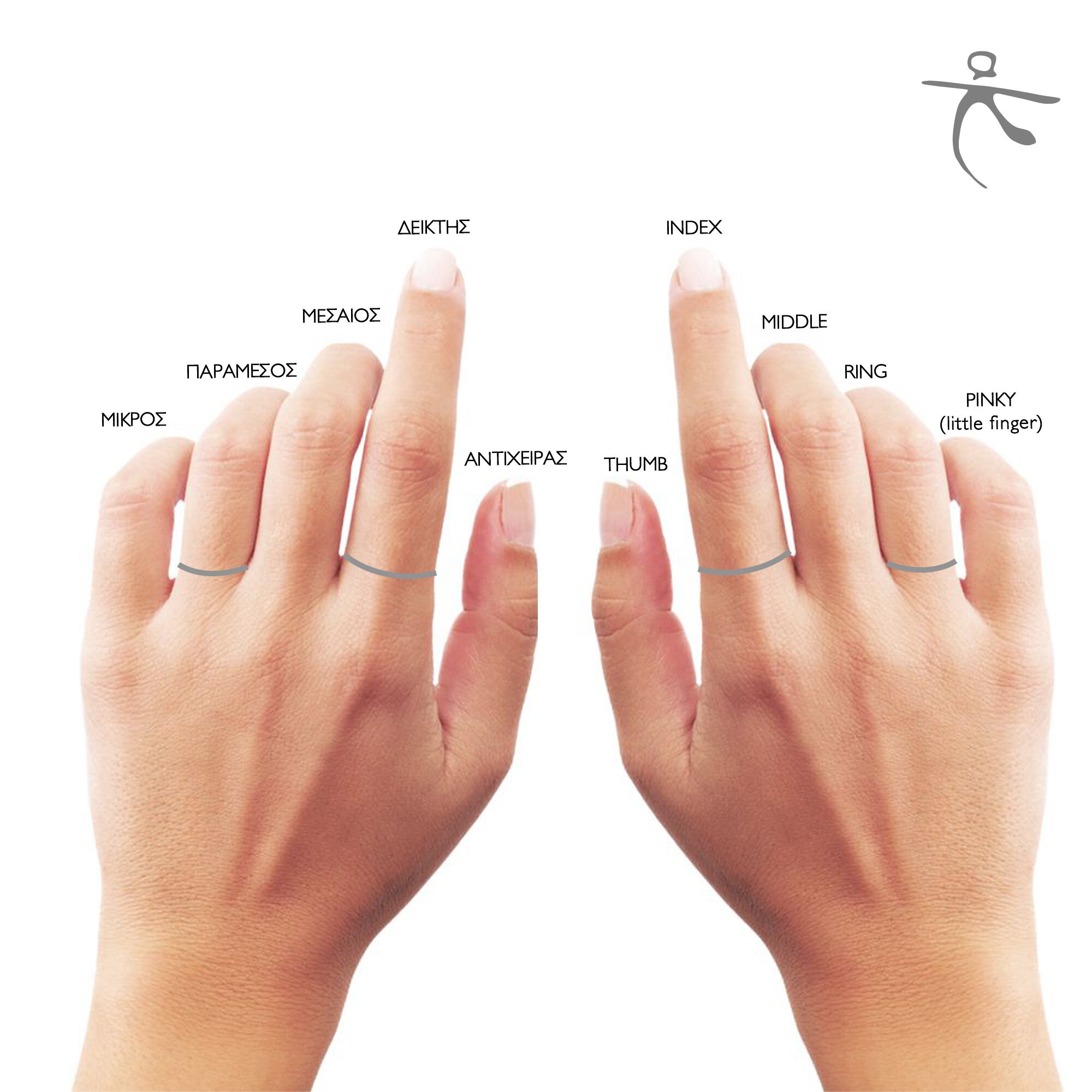 女性用Daraリング、スターリングシルバーのトリプルリング。淡水パールとシルバーのリング、女性へのギフト、Ariadni  Kypri作、Ydorコレクション。 - Etsy 日本