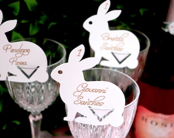 Bunnies Food Tents -8order Hipster Bunny Placecards Bunny place cards rabbit escort cards Custom Printed Bunny Rabbit Food Labels