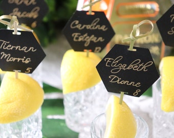 Shooter Escort Cards, Shot Glass Escort Cards, Shooter Place Cards, Hexagon Escort Cards, Drink Escort Cards, Drink Name Tags, Take a Shot