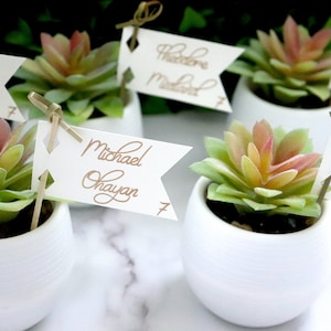 Cartes d’escorte de faveurs succulentes, cartes d’escorte de drapeau, cartes de lieu de drapeau, cartes d’escorte de cactus, cartes d’escorte de cactus, drapeaux de faveur, étiquettes de faveur de mariage