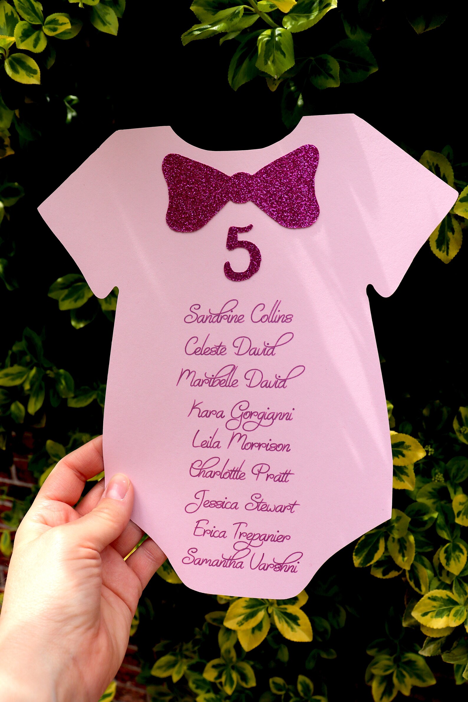 Baby Shower Seating Chart Baby Shower Place Cards Onesie Etsy