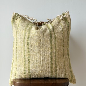 Hand woven Natural Fiber and Color Pillow Cover Euro pillow