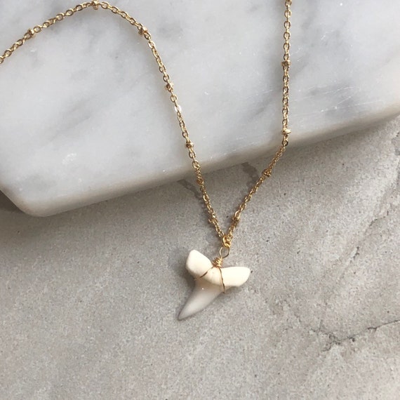 Dainty Natural Shark Tooth Pendant 14K Gold Boho Necklace
