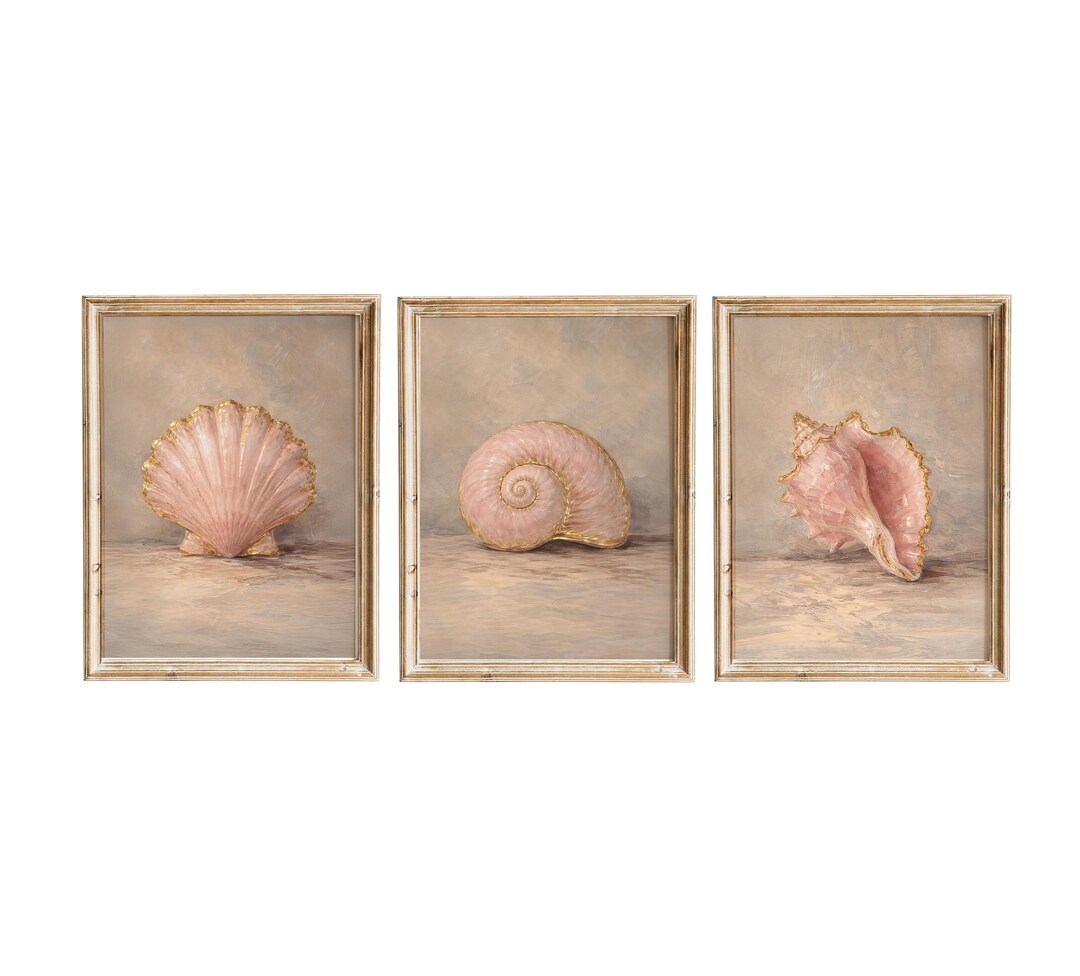 Seashell Wall Art Set of 3 | Scallop Conch Nautilus Print | Blush ...