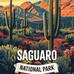 Saguaro National Park Poster