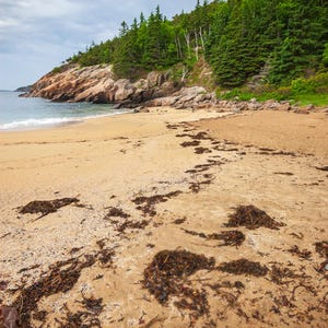Sand Beach at Acadia National Park – Maine Photography Print