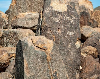 Ancient Petroglyphs - Saguaro National Park Rock Art Print