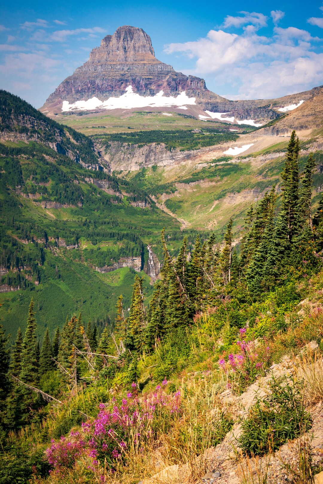 Glacier National Park Wildflowers & Mountain Landscape | Going-to-the ...
