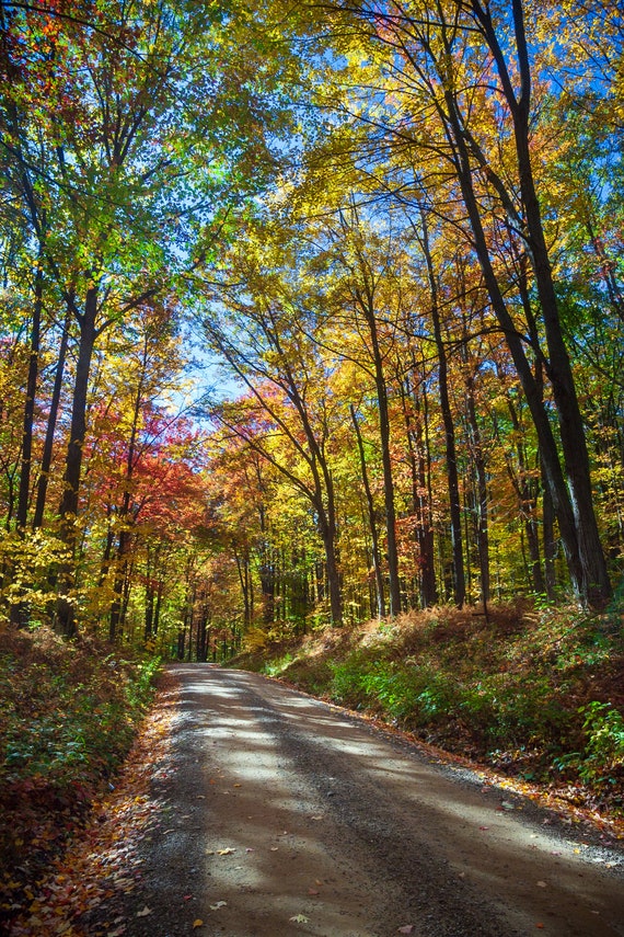 Scenic Overlook Minister Creek Hiking Trail Allegheny Reservoir