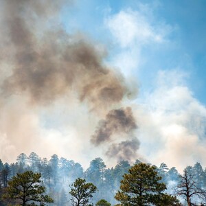 Coconino National Forest Fire - Dramatic Wildfire Photography Print