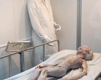 Alien Autopsy Diorama Print - Roswell, New Mexico UFO Museum Wall Art, Fine Print