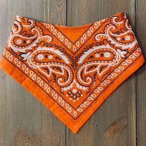 Orange, Bibs, Paisley, BIBDANA®, Bandana, Drool Bibs, Bibs for Pets, Babies, Special need, 3 sizes,  Adjustable neck size, Country, Cowboy,