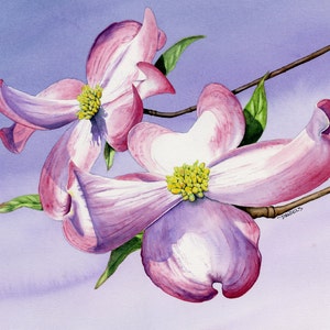 Dogwood Blossoms Watercolor Print, Dogwood Print, Floral Print, Pink Dogwood