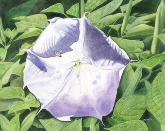 May include: A watercolor painting of a white and purple flower with a bee on it. The flower is surrounded by green leaves.