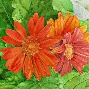 Orange Daisy Print, Floral Print, Wall Art, Fall Home Decor,