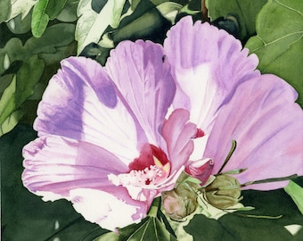 Roos van Saron-aquarelprint, Cottagecore-kunstprint, bloemenprint, bloemenaquarelprint, bloemenkunstprint, kunst voor huisdecoratie