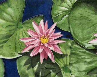 Water Lilies Print