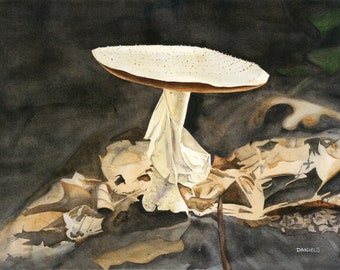 Mushroom Print, Mushroom Watercolor, Mushroom Art, Wall Art, Home Decor, Mushroom Art Print, Kitchen Art Print