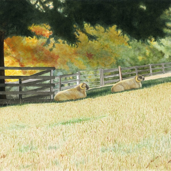 Sheep Watercolor, Farmland Painting, Farm Animal Painting, Sheep Meadow Watercolor, Countryside Painting, Farmland Painting
