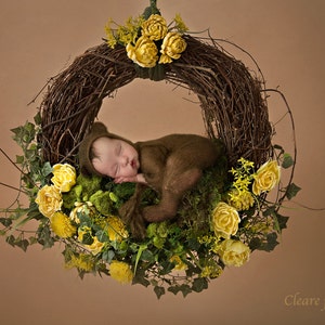 NeWBORN DIGITAL BACKDROP: Yellow Floral and Mossy Hanging Nest