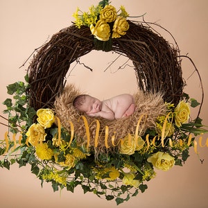 Peut inclure: Un nouveau-né dort dans une couronne tressée brune décorée de fleurs jaunes et de feuilles vertes.
