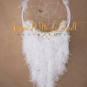 NEWBORN DIGITAL BACKDROP: White Dreamcatcher with Textured Background