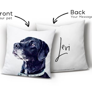 Pets Personalised Cushion, Pet Memorial, Pet Loss Gift, Dog Lover Gift, Cat Lover Gift, Animal Decor, Pet Decor