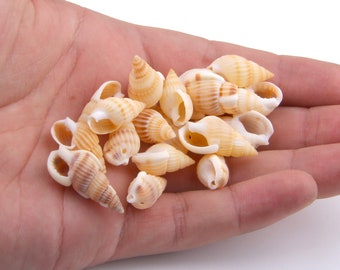 6 Drilled Spiral Sea Shell charms Seashells Beach Cottage Decor Nautical NSS001