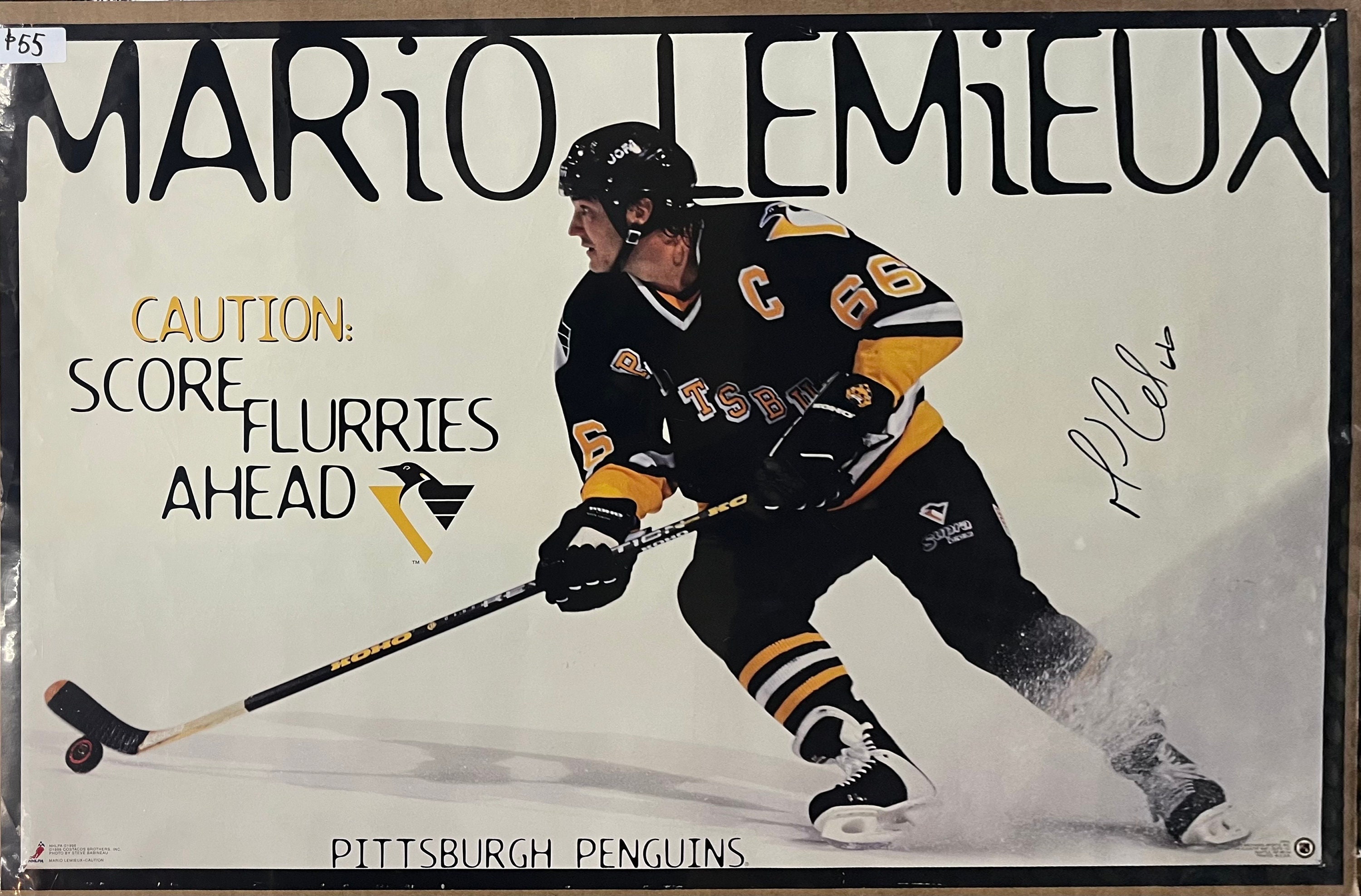 Mario Lemieux Pittsburgh Penguins 8x10 Framed Hockey Collage Photo with  Engraved Autograph