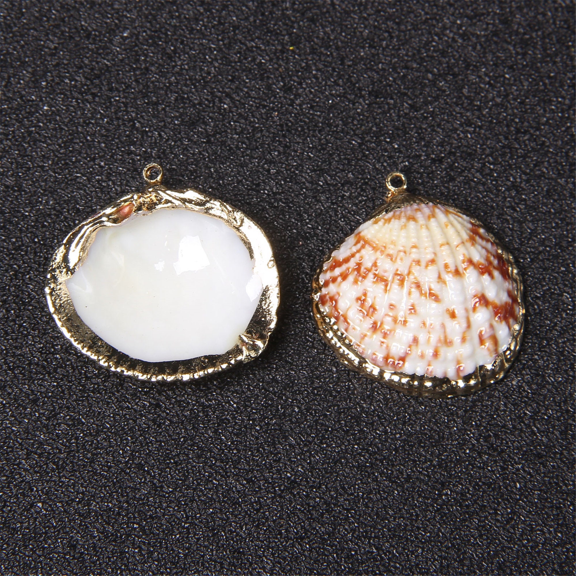 Natural Gold Shell 5/10/20pcs Natural Sea Shells Cowrie Shell Gold Plated Shell Pendants ...