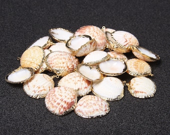 5/10/20pcs Conchas Marinas Naturales Cowrie Shell Oro Plateado Shell Colgantes Seashell Encanto Concha Encanto Oro Envuelto Concha Mar