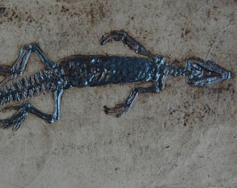 Lizard fossil replica of Solnhofen in museum quality; fossils imprint animal reptile gift skeleton tile tiles